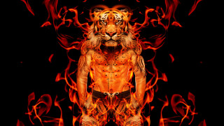 Tiger flames orange red man - artur grottger free wallpaper