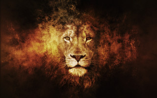 Lion dark background yellow light 2 - a yellow light free wallpaper for desktop