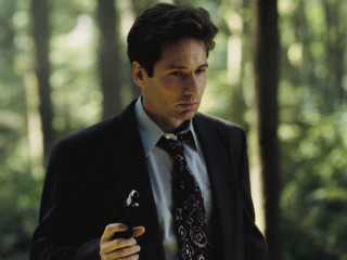 Man suit tie cellphone forest - david dougal williams free wallpaper