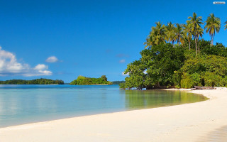 Beach white sand palm trees - the shore free wallpaper