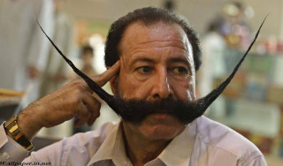 Man fake mustache head hand - masculine free wallpaper