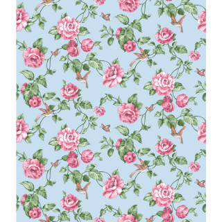 Blue background pink roses hummingbird - a green leafy branch free wallpaper