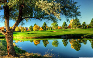 Golf course pond trees green - a pond and trees free wallpaper for desktop