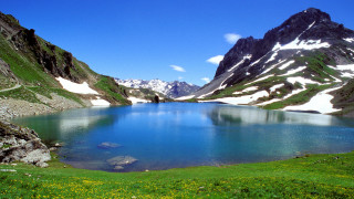 Mountain lake green grass flowers - green grass free wallpaper