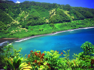 Hawaii tropical ocean hills beach - lush green hill and trees free wallpaper
