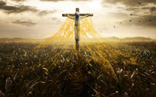 Cross field birds flying clouds - in a field free wallpaper