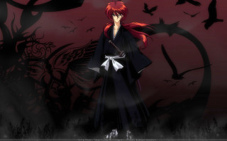 Red haired man birds kimono - a black coat free wallpaper for desktop