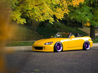 Yellow sports car autumn leaves - a yellow umbrella free wallpaper