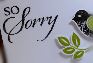 Bird sorry paper closeup image - a word free wallpaper