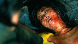 Woman blood bed banana hand - transgressive art free wallpaper for desktop