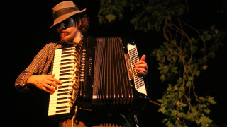 Man hat sunglasses accordion tree - elias goldberg free wallpaper