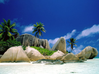 Beach palm trees rocks blue - cloud above free wallpaper for desktop