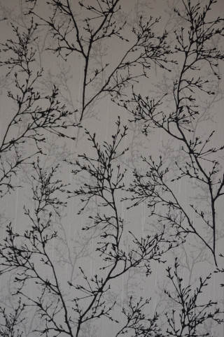 Tree branch no leaves wallpaper - a tree branch free wallpaper for mobile