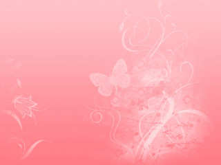 Pink background white flower butterflies - carlos trillo name free wallpaper for desktop