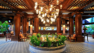 Large room chandelier plant center - a large room free wallpaper