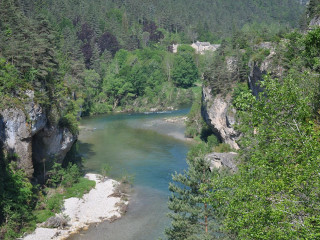 River flowing lush green forest - hillside free wallpaper