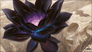 Purple flower blue center purple - donato giancola free wallpaper for desktop