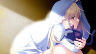 Woman white dress holding cat - a cat free wallpaper for desktop