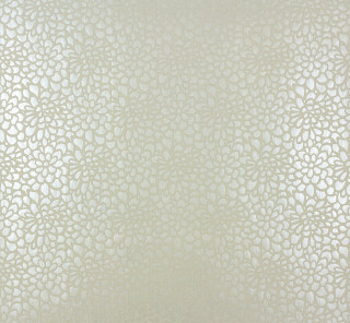 White wall circles pattern black - carol bove free wallpaper for tablet