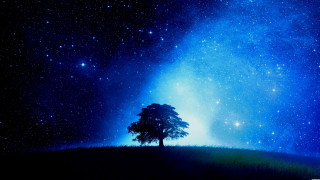 Tree field night sky stars - the horizon free wallpaper for desktop
