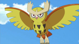 Cartoon character big bird body - pokemon free wallpaper