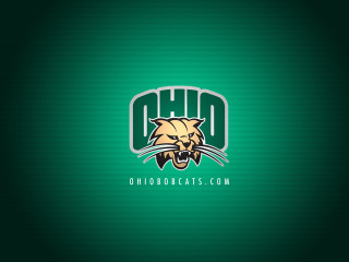 Green background tiger head ohio - official medium free wallpaper for desktop