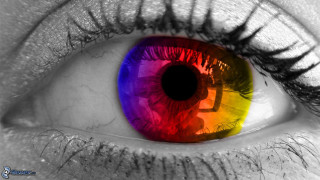 Rainbow colored eye long lashes - a black circle free wallpaper