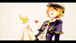 Woman sailor bird heart blonde - a bird free wallpaper for desktop