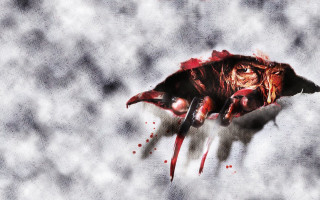 Bloody face hole sky knife - sharp claw free wallpaper