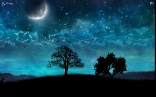 Night sky tree moon bird - night sky free wallpaper