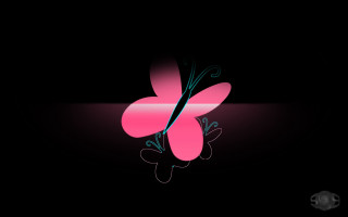 Pink butterfly black background pink - behance hd free wallpaper