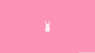 Pink wall white bunny background - a pink wall free wallpaper