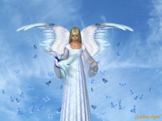 White angel blue bird blue - a white angel free wallpaper for desktop