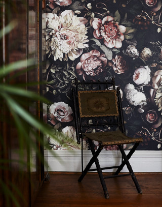 Flower daisy roses leaves blurry - front of a wall free wallpaper