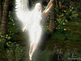 White haired angel walking forest - radiant free wallpaper