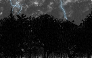 Storm lightning trees bench cloudy - thunderstorm free wallpaper for desktop