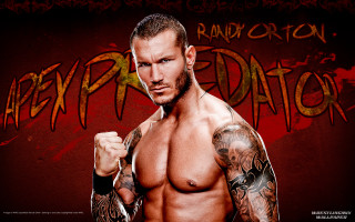 Man tattoo fist red background 2 - wall behind free wallpaper