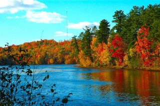 Lake fall colors trees blue - fall free wallpaper for desktop