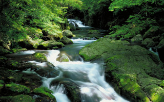 Lush forest stream waterfall rocks 2 - the rock free wallpaper