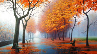 Park benches trees fall colors - evgeny lushpin free wallpaper