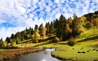 River lush green hillside trees - cow free wallpaper
