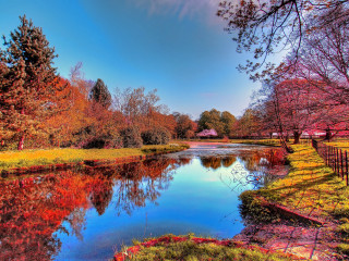 Pond trees red leaves fence - a pond free wallpaper