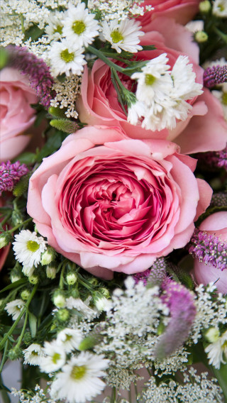 Pink roses white flowers green - free flowers wallpaper for mobile