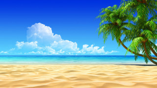 Palm tree sandy beach blue 2 - illustration free wallpaper