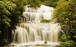 Waterfall cascade trees nature landscape - a bunch of water free wallpaper