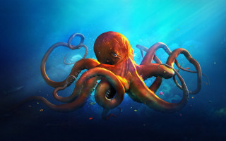 Octopus swimming ocean tentacles stretched - an octopus free wallpaper