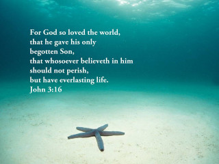 Starfish bible verse sandy ocean - love free wallpaper