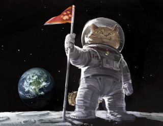 Cat astronaut flag moon planet - the moon free wallpaper