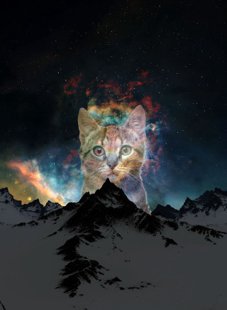 Cat mountain star filled sky - sky in the background free wallpaper for mobile