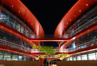 Building tree night lights outside - a tree in the middle of it free wallpaper